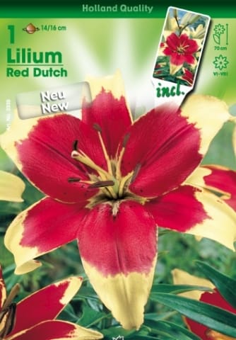 Con Hortus è già primavera! 7
