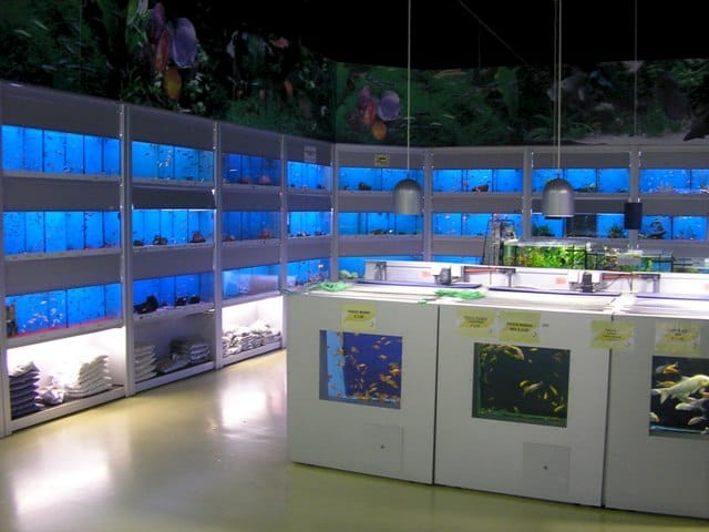 Acquariologia: il futuro è nei garden center 11