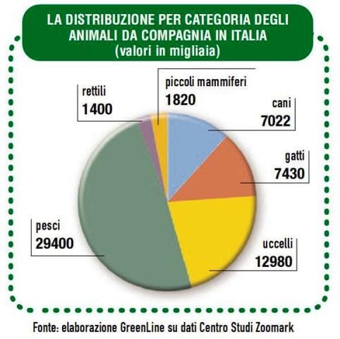 Acquariologia: il futuro è nei garden center 5