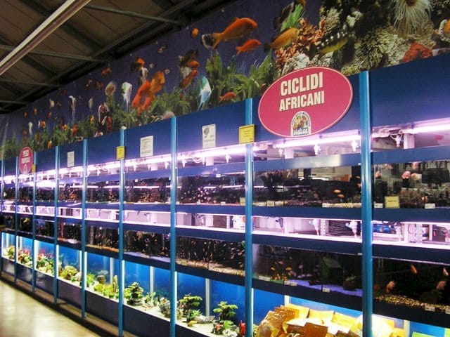 Acquariologia: il futuro è nei garden center 9