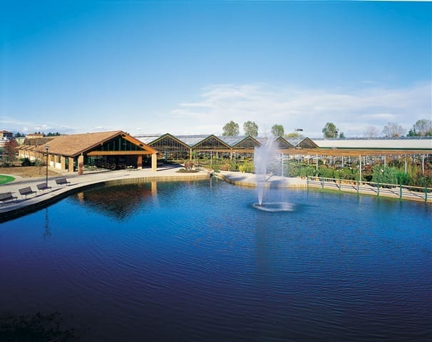 Nuovi orizzonti per i laghi da giardino 4