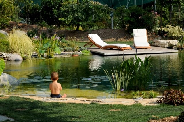 Nuovi orizzonti per i laghi da giardino 7