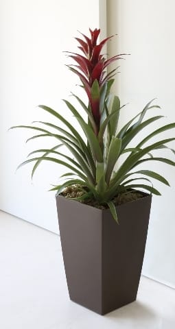 Con Plastecnic gli ambienti hanno un fascino irresistibile 2