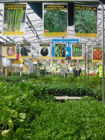 La coltivazione in proprio: nuova frontiera nel garden 3
