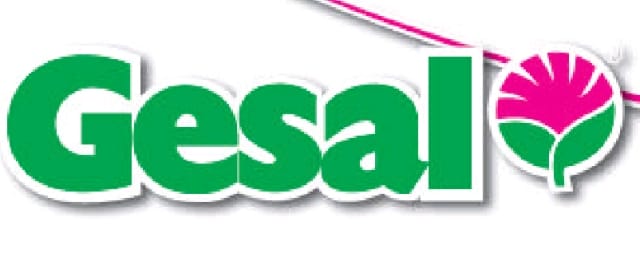 Con Gesal spazio alla creatività 2