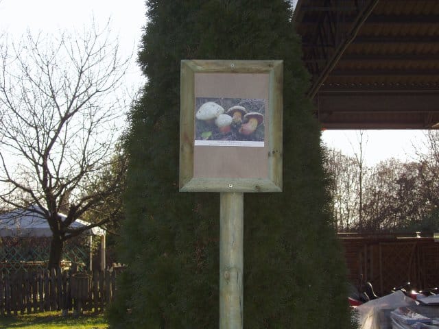 Cherubin, sinonimo di qualità 4