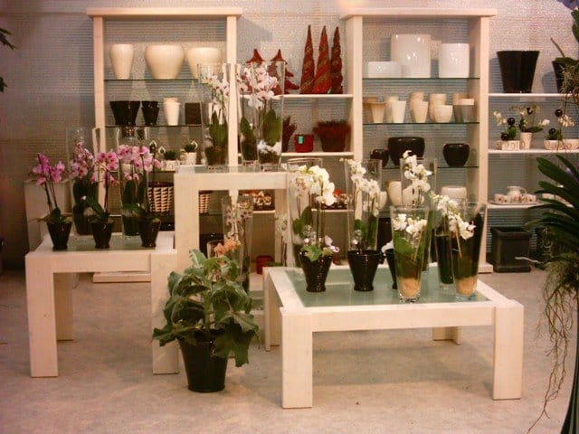 Il retail design e il garden center 2