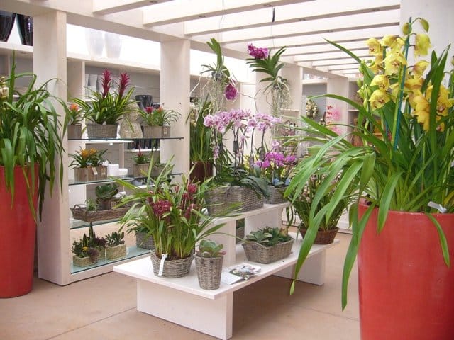 Il retail design e il garden center 3