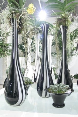 Il retail design e il garden center 5