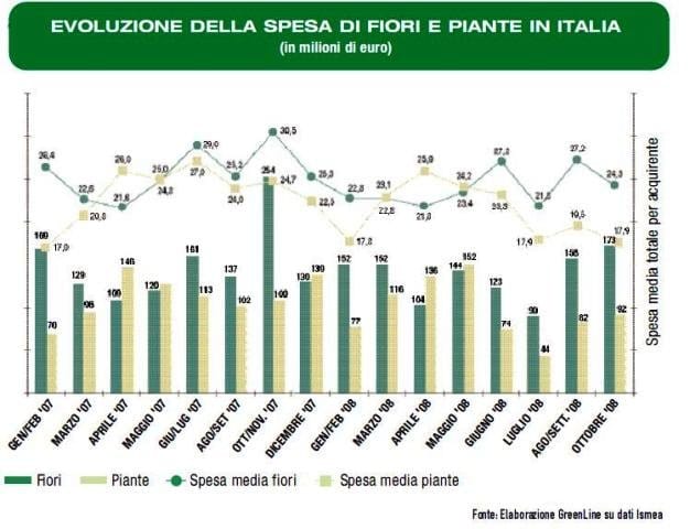 Piante e fiori: autunno tiepido 2