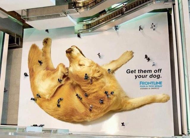 Frontline punta sul guerrilla marketing 2