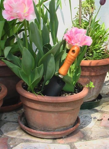Con Officine Piazza, professional anche in giardino 2