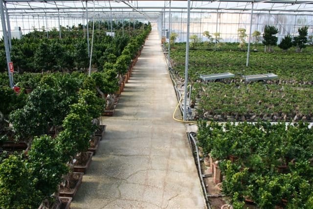 Un successo la prima edizione di Florbusiness 4