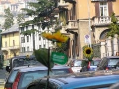 Le iniziative primaverili di Compo 7