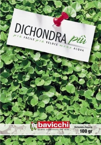 Bavicchi: sempre di ...Più 2