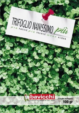 Bavicchi: sempre di ...Più 3