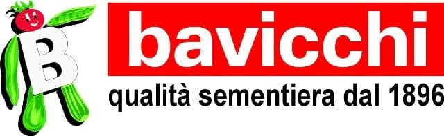 Bavicchi: sempre di ...Più 7