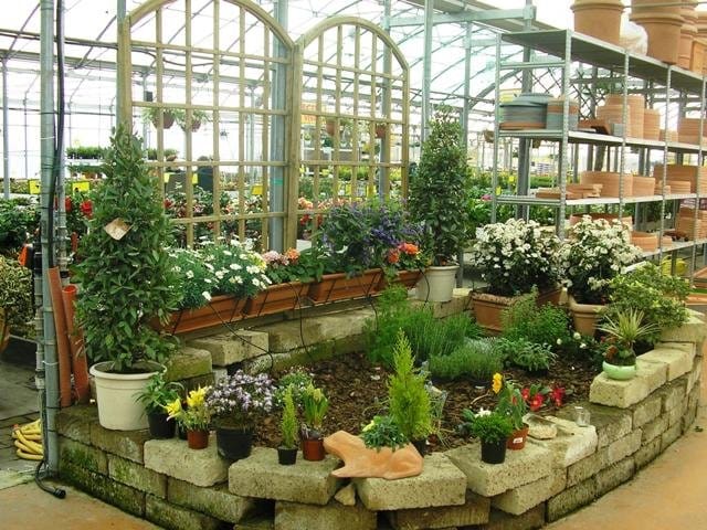 Fiorisce la primavera al Garden delle Meraviglie Steflor 4