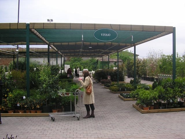 Le prime foto di Viridea di Vicenza 6