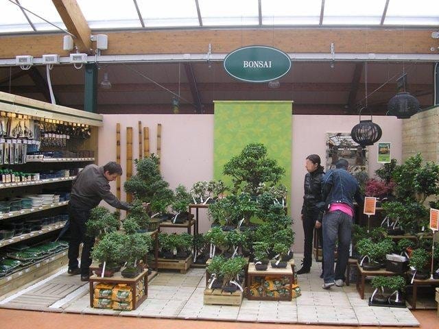 Le prime foto di Viridea di Vicenza 8