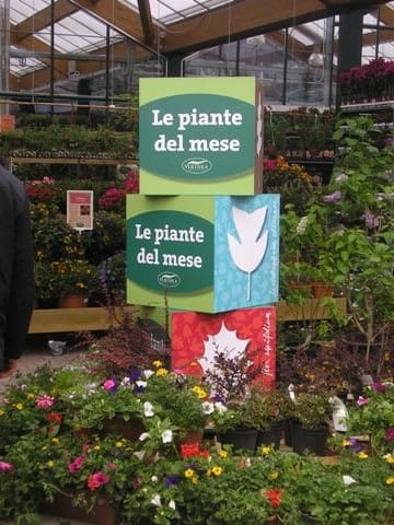Le prime foto di Viridea di Vicenza 9