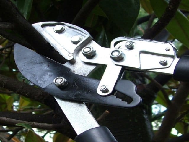 La soluzione giusta per i lavori in giardino 3