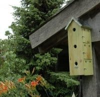 Prendiamoci cura degli animali che popolano il giardino 2