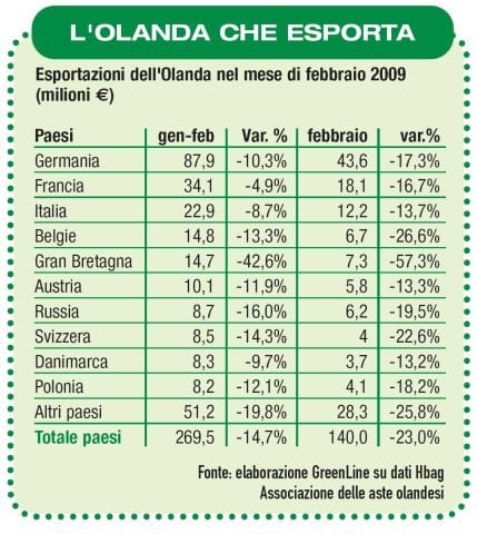 Un buon marzo per le piante d'appartamento 3