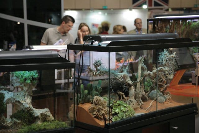 Più di 20.000 visitatori a Zoomark 5