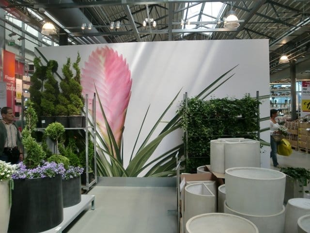 Ikea apre a Collegno con 2.100 mq di garden 2