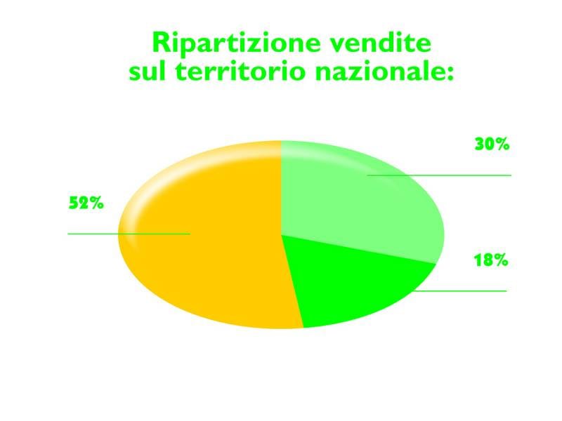 Recinzioni: soluzioni flessibili e modulari per la sicurezza delle abitazioni 2