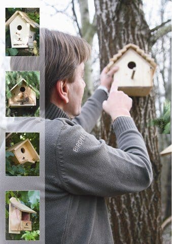 Birdfeeding: una bella opportunità per i garden italiani 5