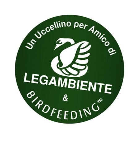 I primi passi verso il bird feeding 4