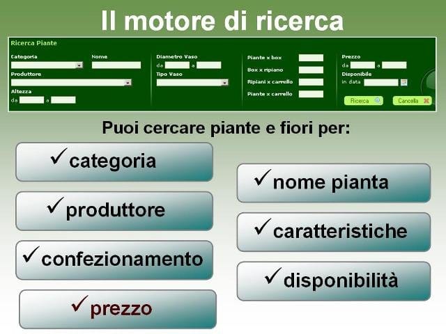 Jetplant.it: il nuovo modo di vendere le piante 6