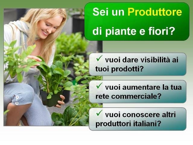 Jetplant.it: il nuovo modo di vendere le piante 7