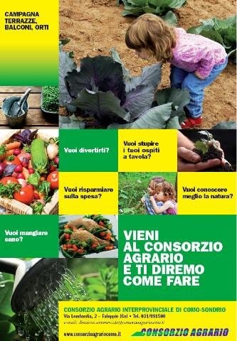 La 'vision verde' del Consorzio di Como 5