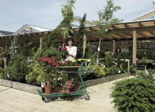 Caddie: tutte le facce di un carrello 12