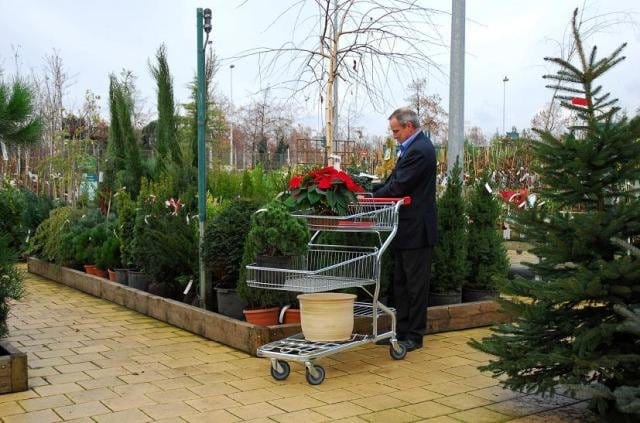 Caddie: tutte le facce di un carrello 13
