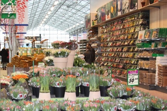 Thermoflor dà luce ai garden center italiani 11