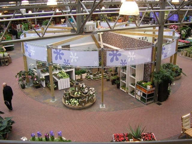 Thermoflor dà luce ai garden center italiani 2