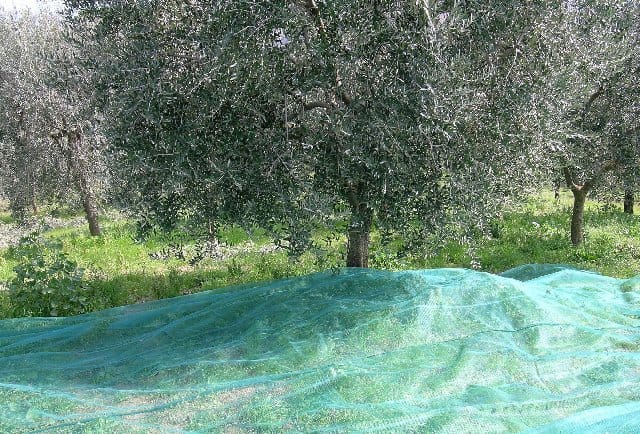 La rete per hobbisti e professionisti 2