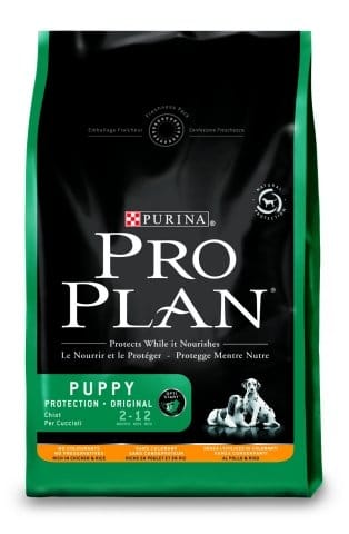 Il primo pasto per i cuccioli 2