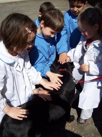 La scuola di Purina e Giunti 3