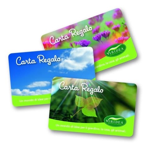 Un regalo speciale per chi ama il verde 2