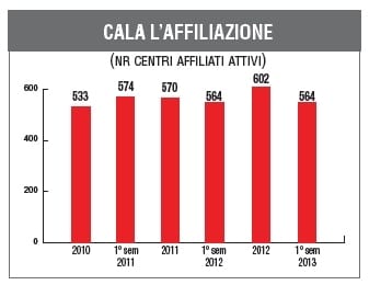 GDS brico-garden: la “rete” non cresce nel 2013 5