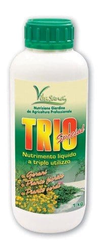 La Vita Sana di Hortus 6