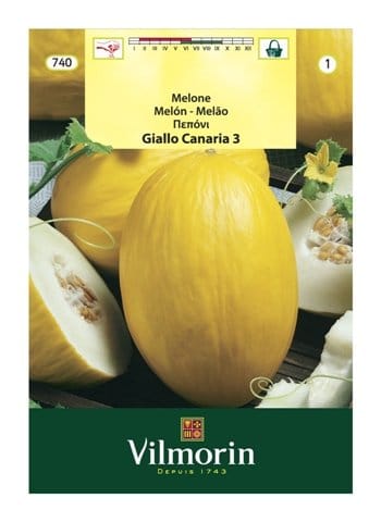 Oxadis alla conquista del consumatore 8