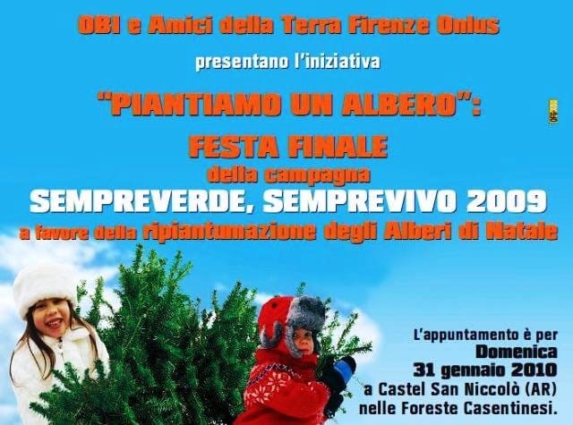Con OBI gli abeti di Natale “tornano liberi” 2