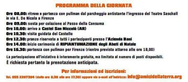 Con OBI gli abeti di Natale “tornano liberi” 3
