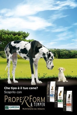 Il profilo nutrizionale ideale per ogni cane 3